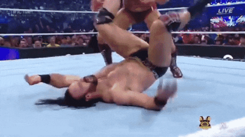 two men are wrestling in a wrestling ring .