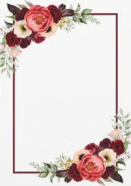 a floral frame with red roses and green leaves on a white background .