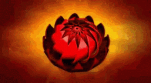 Lotus Flower GIF - Lotus Flower GIFs