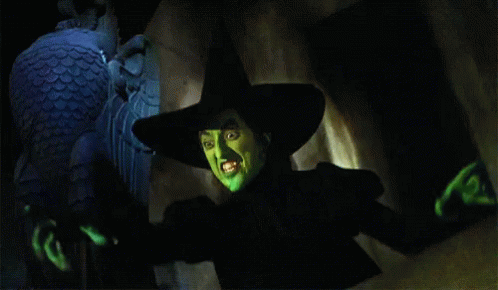 Wicked Witch GIF - Wicked Witch GIFs