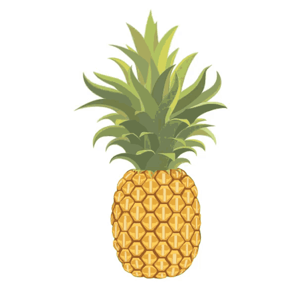 a pineapple with green leaves and a pattern of circles