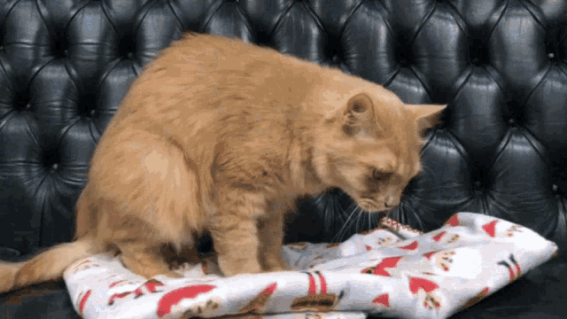 a cat laying on a santa claus blanket on a black couch