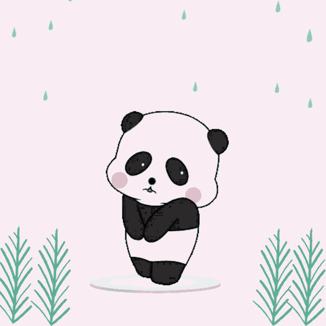 Panda Sorry GIF - Panda Sorry Hd GIFs