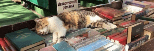a cat is laying on top of a pile of books in front of a sign that says historical romans