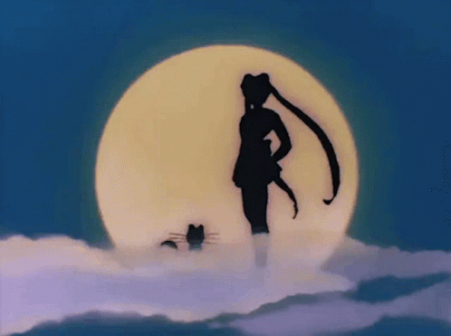 Sailor Moon Shadow GIF - Sailor Moon Shadow Pose GIFs