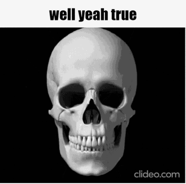 a black and white photo of a skull on a black background with the words `` well yeah true '' .