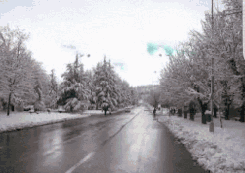 a snowy street with trees covered in snow on the side