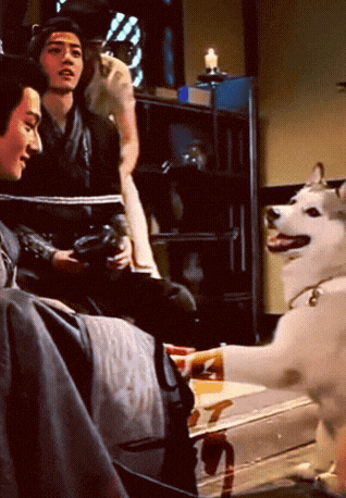 a man sitting on a couch with a dog on the floor
