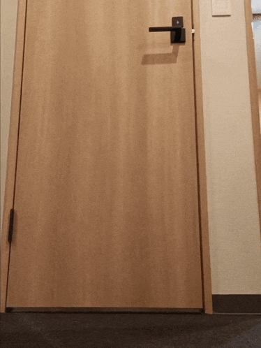 a wooden door with a black handle and a light switch on the wall