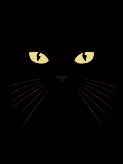a black cat sticking its tongue out in the dark