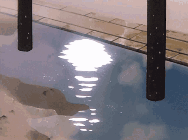 a swimming pool with a reflection of the sky in it