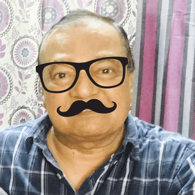 a man wearing glasses and a fake mustache looks at the camera
