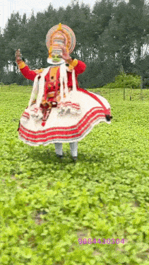 a man in a colorful costume is standing in a field of green plants .