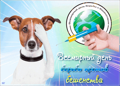 a poster with a dog and a person holding a syringe with the date 28