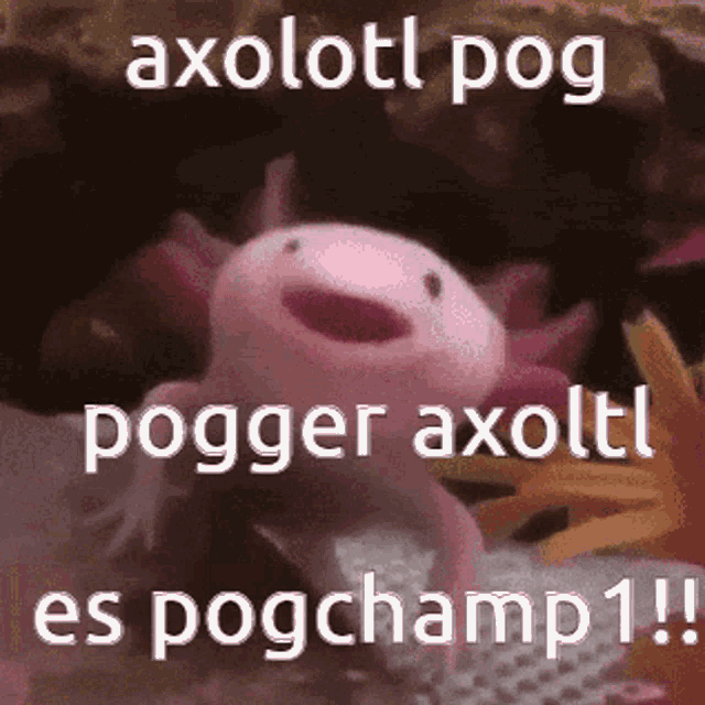 Axolotl Among Us GIF