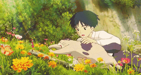 a boy is holding a cat in a field of flowers