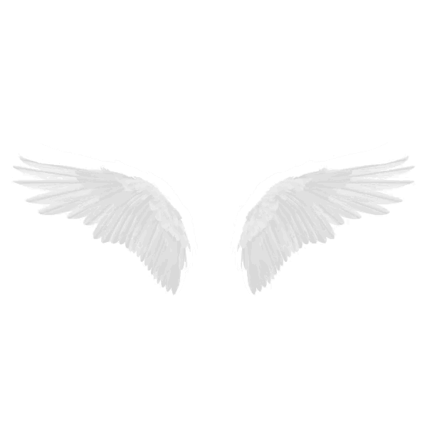 a pair of white angel wings with a white background