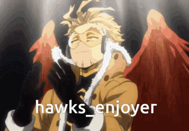 hawks enjoyer is written on a picture of a man