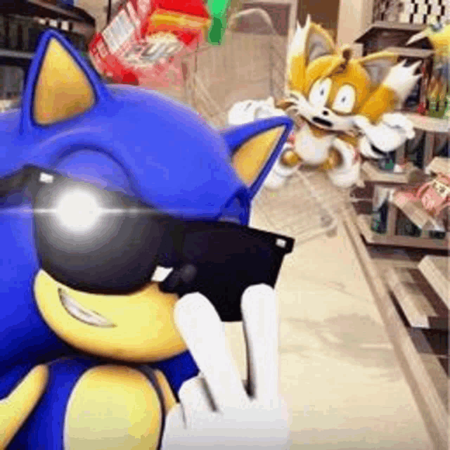 sonic the hedgehog and tails the cat are standing in a store .