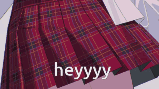 a red plaid skirt with the word heyyy written on it