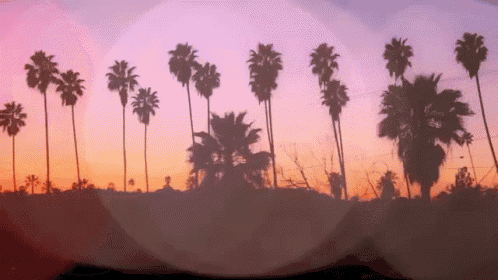 palm trees are silhouetted against a pink and purple sky