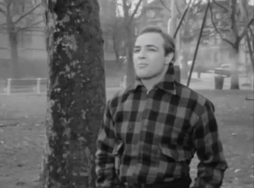 Marlon Brando On The Waterfront Nose GIF - Marlon Brando On The Waterfront Nose GIFs