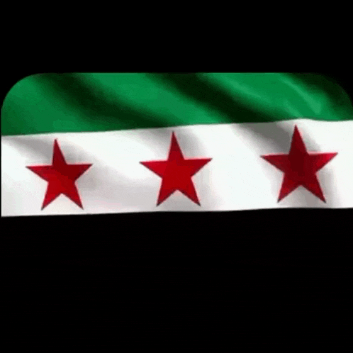 three red stars are on a green and white flag