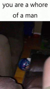 Bcj Coby Cat GIF - Bcj Coby Cat You Are A Whore Of A Man GIFs