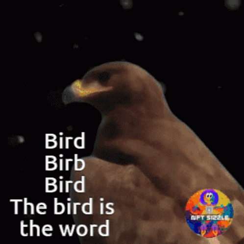 Bird Song Bird Is GIF - Bird Song Bird Is Nft Sizzle GIFs