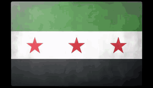 a flag with three red stars on it
