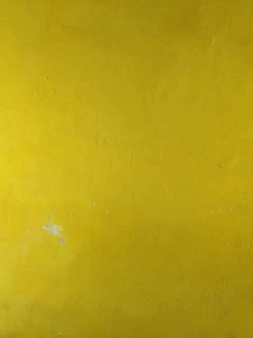 Wall Yellow GIF - Wall Yellow Blank GIFs