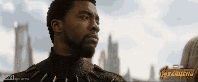 a poster for avengers infinity war shows a black panther