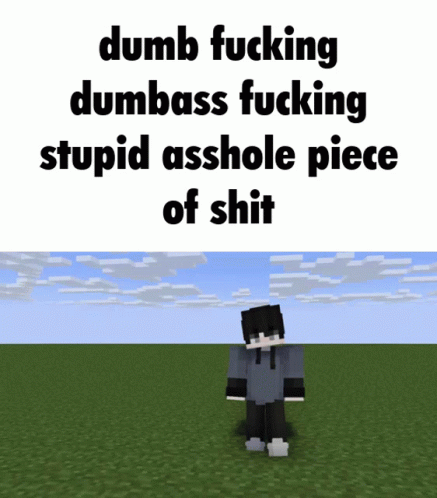 Dumb Fucking Dumbass Fucking Stupid Asshole Piece Of Shit Minecraft GIF - Dumb Fucking Dumbass Fucking Stupid Asshole Piece Of Shit Minecraft Nutter GIFs
