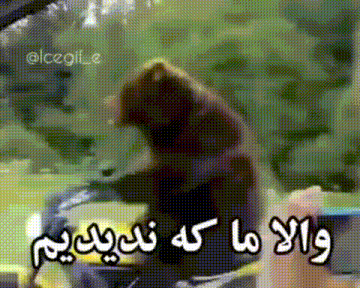 a bear is sitting in the driver 's seat of a car with arabic writing on it .