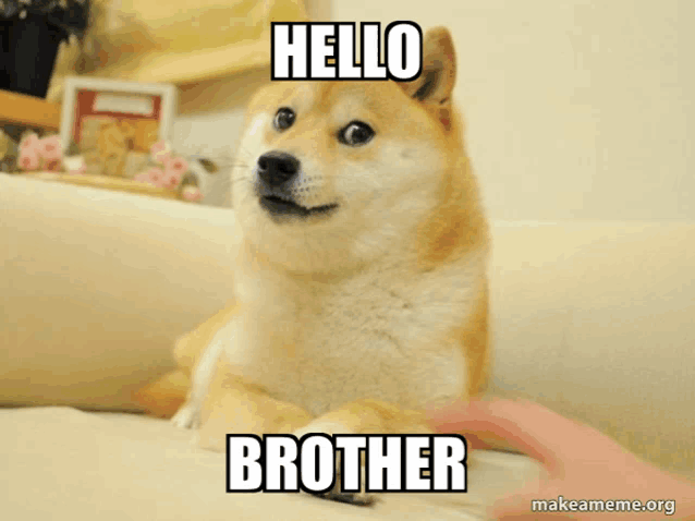a picture of a dog that says hello brother on it