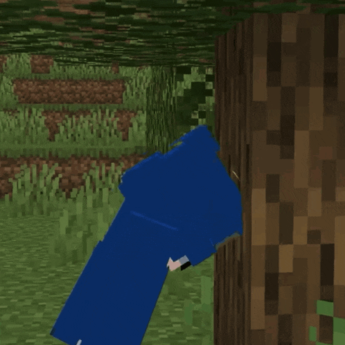 a person in a blue shirt is standing next to a tree in a minecraft game
