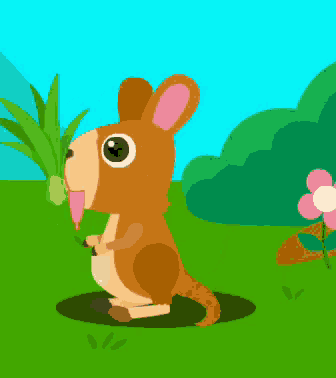a kangaroo with a flower in the background is eating grass