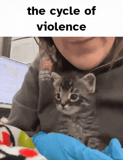 a woman is holding a kitten with the caption the cycle of violence on the bottom