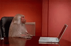 Lets Get Wasted Annoyed GIF - Lets Get Wasted Annoyed Mad GIFs
