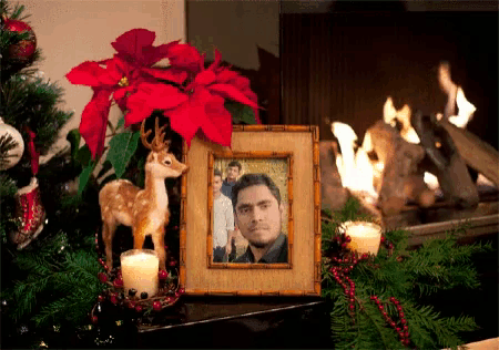 a picture of a man in front of a christmas tree with a poinsettia in the background