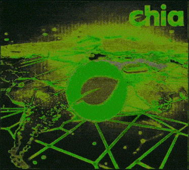 a green and black graphic with the word chia on it