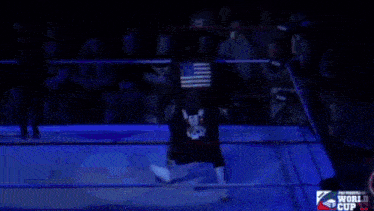 two men are wrestling in a ring that says world cup on the bottom