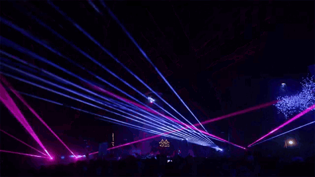 a crowd of people are watching a show with purple and blue lights