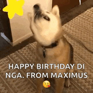 a dog is looking up at the sky with the words `` happy birthday di nga . from maximus '' written above it .