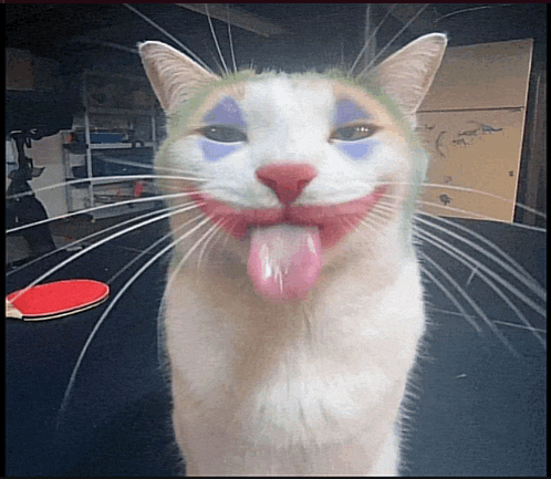 a cat with a joker face painted on its face