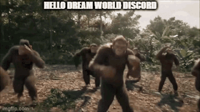 Dream World Discord Dream GIF - Dream World Discord Dream World GIFs