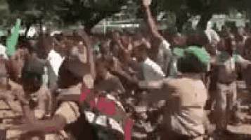 a crowd of people are standing in a park with their hands in the air .
