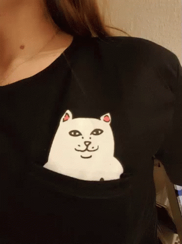 Tshirt Cat GIF - Tshirt Cat Fuck GIFs