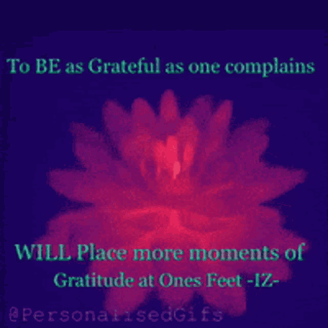 Iz Gratitude GIF - Iz Gratitude GIFs