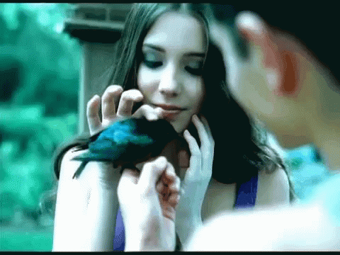 Marion Raven GIF - Marion Raven Bird GIFs